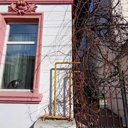 Casa Liveni * בוקרשט