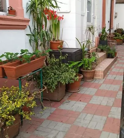 Casa Liveni