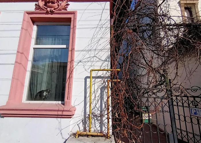 Casa Liveni * Bukurešť